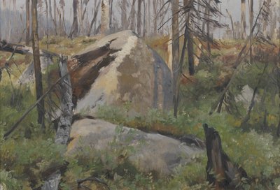 Abgestorbener Wald in Kanada von Richard Friese